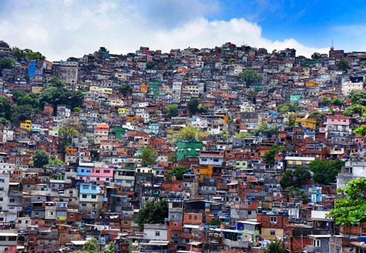 Tour Favela & Floresta da Tijuca