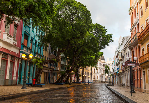 City Tour Recife & Olinda
